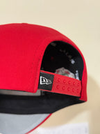 DB Saiyan Red