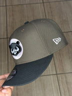 NY bear brown
