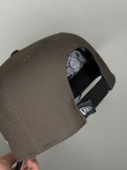 NY bear brown