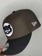 NY bear brown